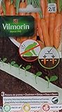 3 Cintas biodegradables Vilmorin 525 semillas de ZANAHORIA (cultivo fácil) foto / 9,61 €