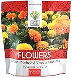 African Marigold Seeds Crackerjack Mix - Bulk 1 Ounce Packet - Over 10,000 Seeds - Huge Orange and Yellow Blooms photo / $7.97