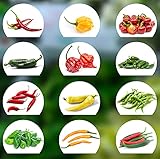 Chili Seed Set | 12 variedades de semillas de chile desde picante a suave | Set de cultivo con Chili Premium- Semillas naturales | fácil de cultivar/cultivar para el jardín y el balcón foto / 9,90 €