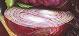Red Burgundy Onion 100 Seeds - Red Onion Seeds, Organic Onion Seeds Heirloom Non GMO, Sweet Onion Seeds, Vegetable Garden Seeds for Planting Home Garden photo / $2.95 ($0.03 / Count)