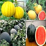 Cozy Crib Multicolor Watermelon Mix About 20 Seeds photo / $5.99 ($0.30 / Count)