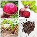 foto SEMI PLAT FIRM-Vendita calda Barbabietola Seed Vulgaris di verdure Seed Bulk semi di barbabietole non-OGM Heirloom Bonsai Casa Giardino 50 Pz