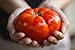 foto Semillas de tomate / Red jugosa gigante / aprox. 50 semillas / tomate gigante / semillas de hortalizas / autosuficiente