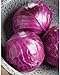 photo David's Garden Seeds Cabbage Ruby Perfection 7742 (Red) 100 Non-GMO, Hybrid Seeds