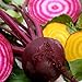 photo Beets - Gourmet Mix of Beet Seeds ► Non-GMO Red & Yellow Beet Seeds (100+ Seeds) ◄ by PowerGrow Systems