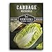 photo Survival Garden Seeds - Michihili Napa / Nappa Cabbage Seed for Planting - Pack with Instructions to Plant and Grow Brassica Vegetables in Your Home Vegetable Garden - Non-GMO Heirloom Variety