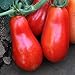 photo Organic San Marzano Short Vine Tomato ~25 Seeds - Organic, Heirloom, Open Pollinated, Non-GMO, Farm & Vegetable Gardening Seeds