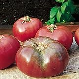 Burpee 'Cherokee Purple' Heirloom | Large Slicing Tomato | Rich Flavor photo / $7.30