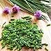 foto 100pcs / lot de las cebolletas chinas de Semillas Semillas Allium Schoenoprasum Condimento vegetal Oriental ensalada de cebolla semillas de hortalizas Bonsai bricolaje