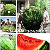 2017 New 30Pcs gigante semi di anguria, dolce gusto semi di frutta e verdura, molto grandi deliziosi, piante da giardino spedizione gratuita foto / EUR 9,99