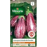 Vilmorin - Sachet graines Aubergine Listada de Gandia photo / 5,67 €